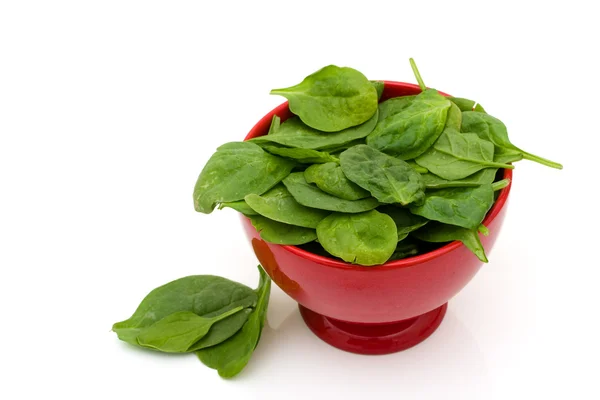 Super Food Spinach — Stock Photo, Image