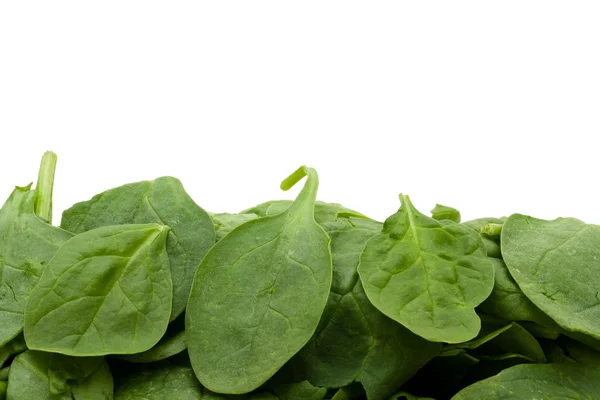 Super voedsel spinazie — Stockfoto