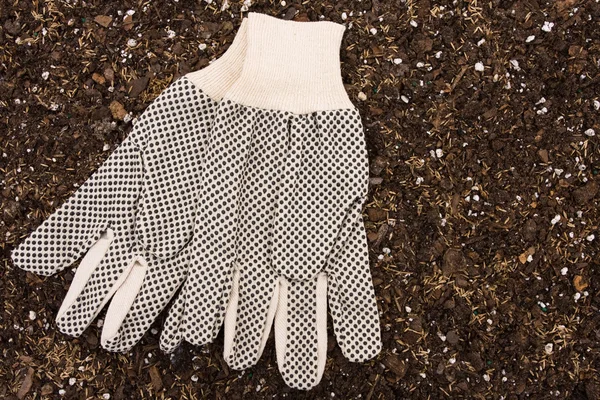 Садівництва рукавички — стокове фото