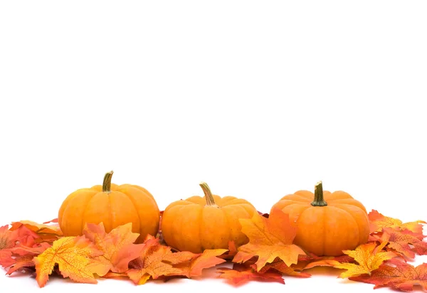 Hintergrund Herbst Stockfoto