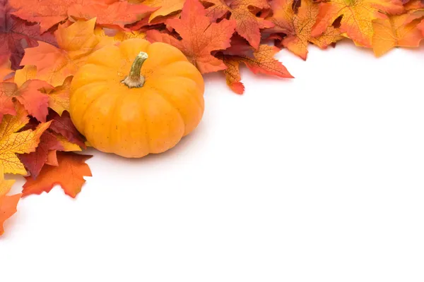 Hintergrund Herbst Stockbild