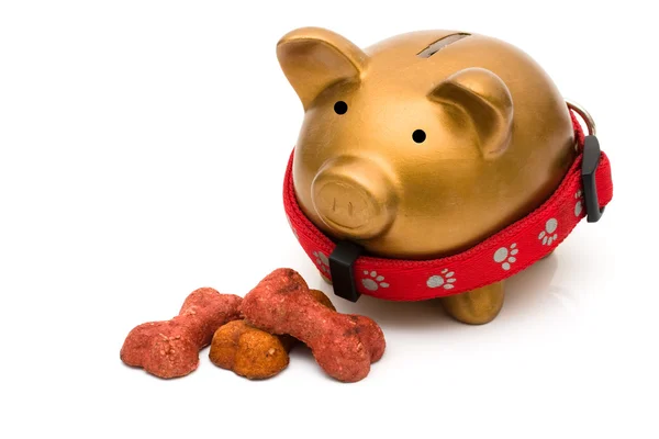 Costs of dog food Stock Picture