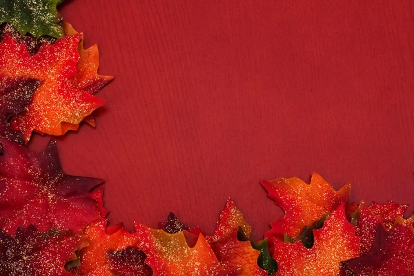 가을 경계 — 스톡 사진