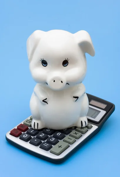 Calculating your Savings — Stock Photo, Image