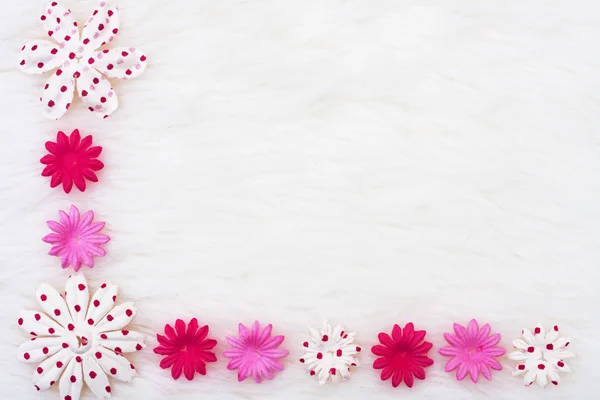 ピンクの花のボーダー — ストック写真