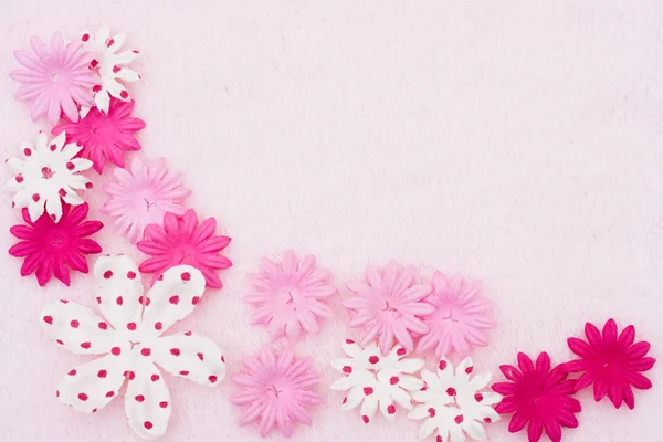 Růžový květ hranice — Stock fotografie