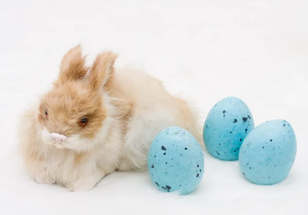 Legaranyosabb húsvéti nyuszi — Stock Fotó