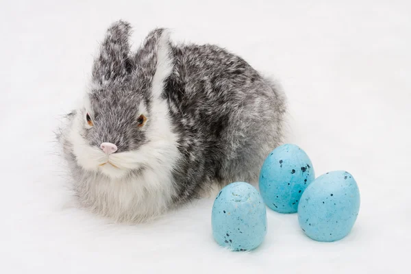 Conejo de Pascua más lindo — Foto de Stock