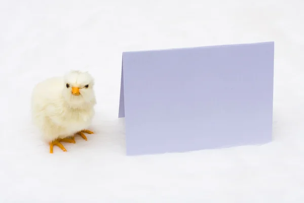 Mensaje de Pascua con un polluelo bebé — Foto de Stock