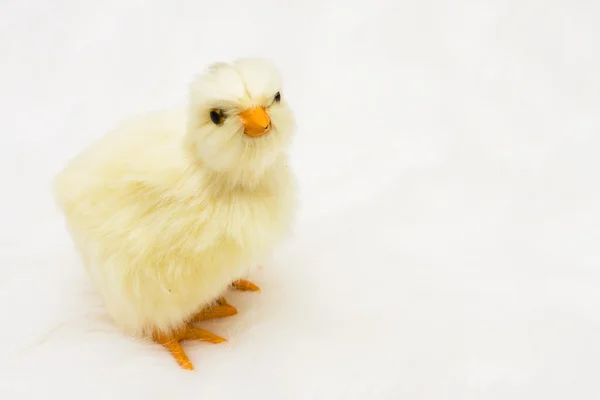 Bebé Pascua polluelo — Foto de Stock