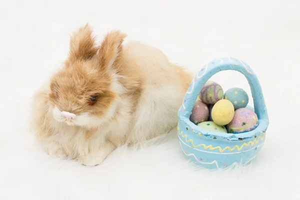 Conejito de Pascua — Foto de Stock