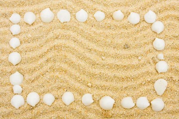 Seashell кордону — стокове фото