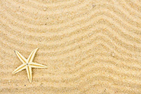 Beach background — Stock Photo, Image