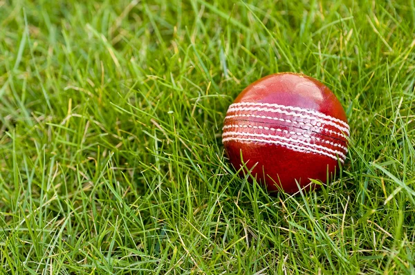 Cricket ball on grass