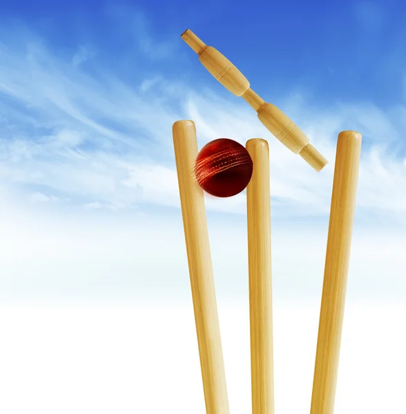 Cricket stumps