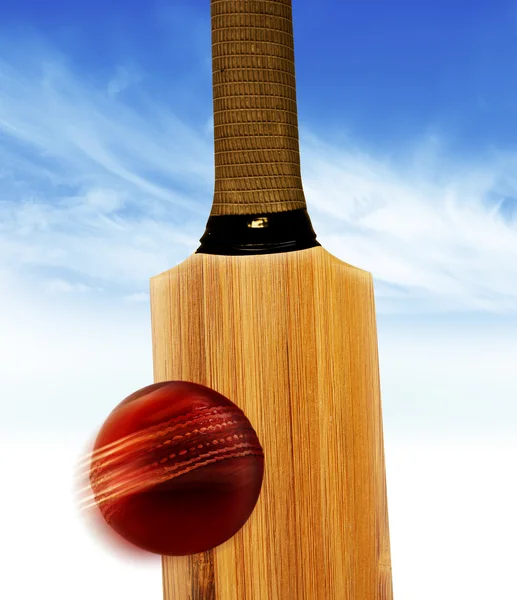 Cricket bat ball