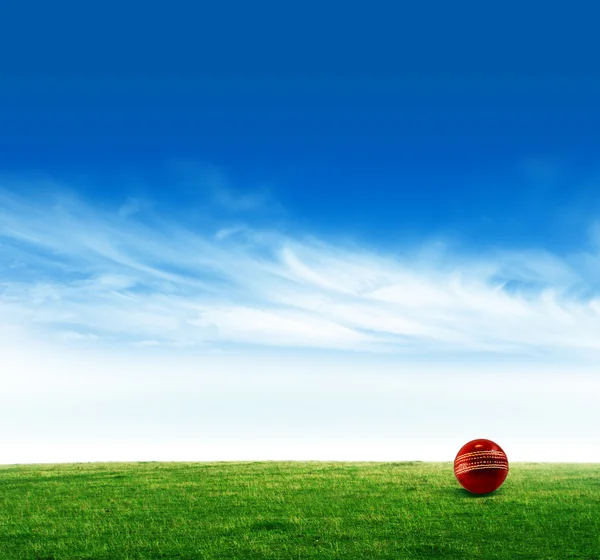 ᐈ Cricket ball texture stock photos, Royalty Free leather ball texture