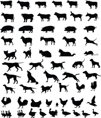 Animals pets silhouettes clipart