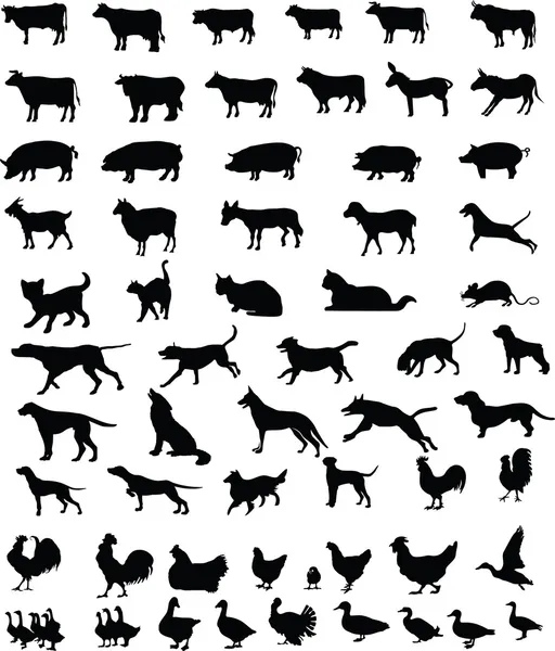 Hayvanlar evcil hayvan silhouettes — Stok fotoğraf
