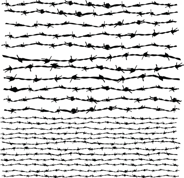 Barbed wire-1 — Stock Photo, Image