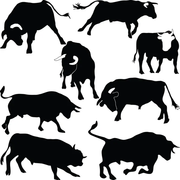 Sílhuetas de touros — Fotografia de Stock