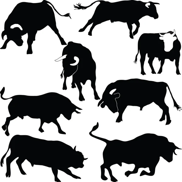 Bulls silhouettes — стокове фото