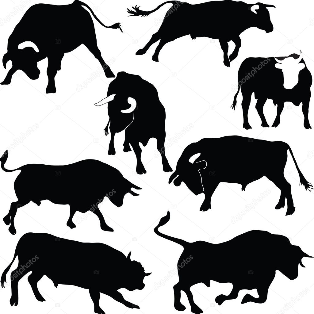 Bulls silhouettes