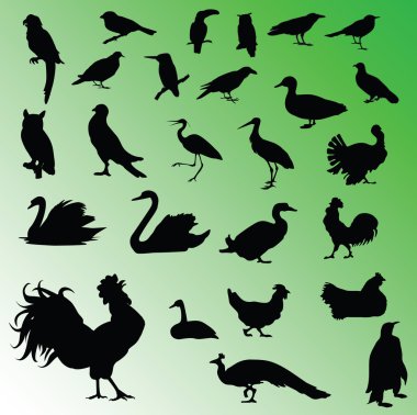 kuş silhouettes