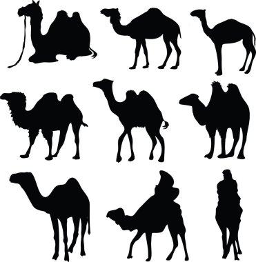 Camel silhouettes clipart