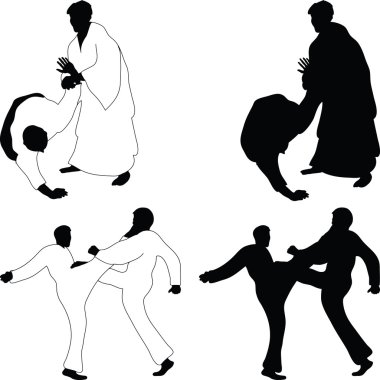 mücadele sporları aikido
