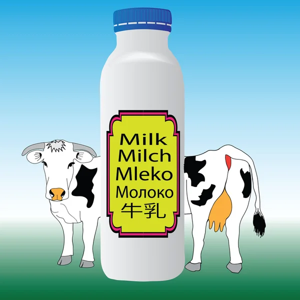 Bottiglie con latte — Foto Stock