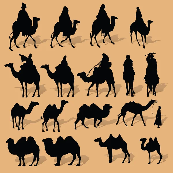 Силуэт верблюда — стоковое фото