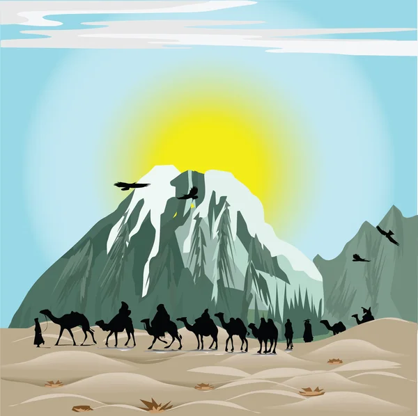 Caravan Camels — Stock Photo, Image