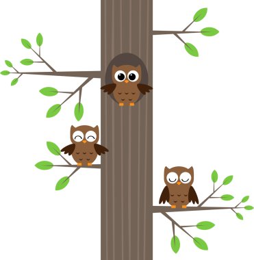 Owls on tree clipart