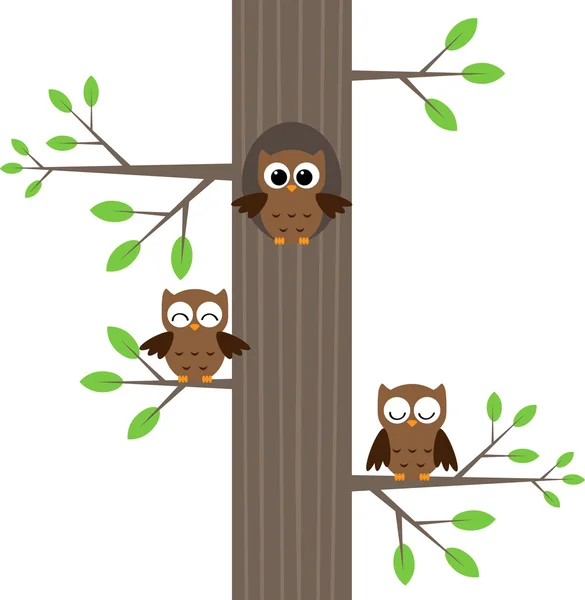 树上的猫头鹰 — 图库矢量图片