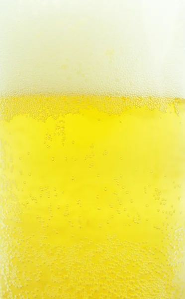 Beer (1) — Stock Photo, Image