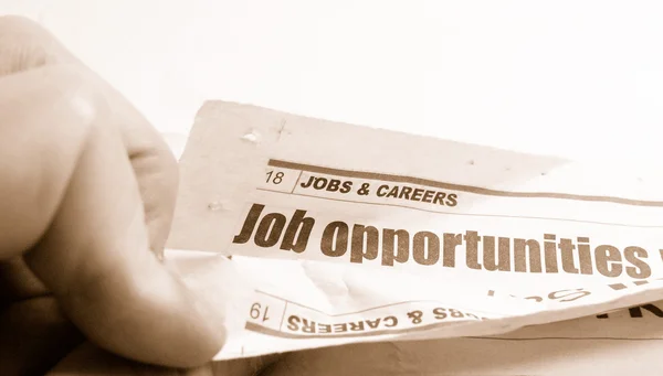 Job search — Stock Photo, Image