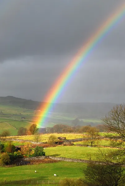 Rainbow landscape — Stock Photo, Image