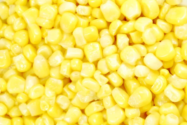 Fundo de milho doce — Fotografia de Stock
