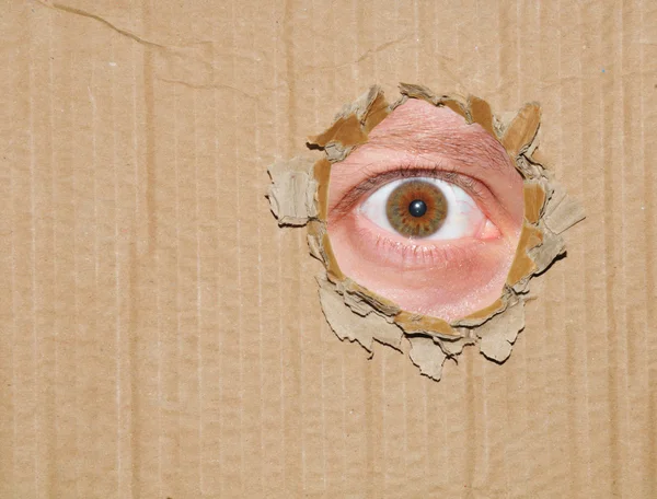 Eye spying — Stock Photo, Image