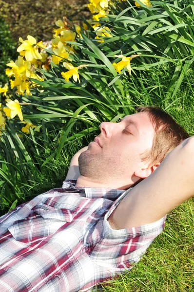 stock image Hay fever