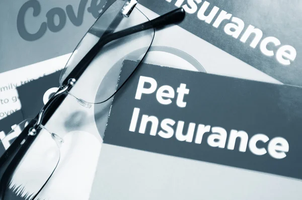 Assicurazione animali domestici — Foto Stock