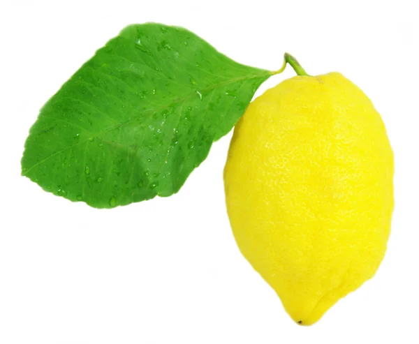 Лимон ізольований над білим — стокове фото