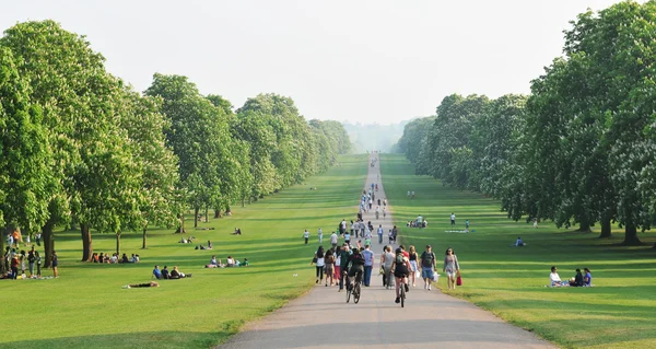Wielki park Windsor — Zdjęcie stockowe