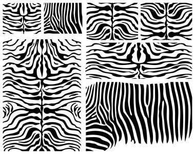 Zebra Skin clipart