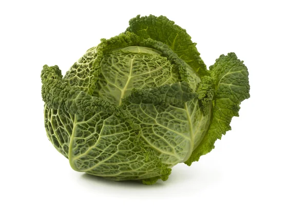 stock image Savoy cabbage