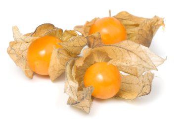 Physalis çilek