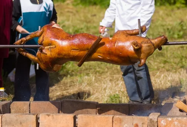 豚の串焼き — ストック写真