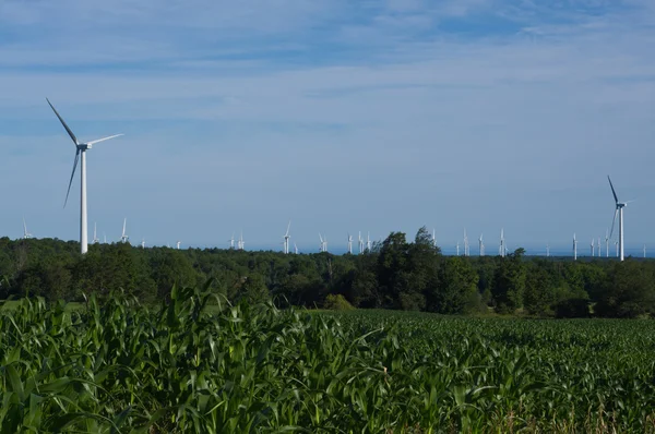 Elektrownie wiatrowe — Zdjęcie stockowe
