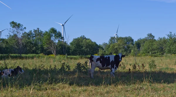 stock image Wind Power